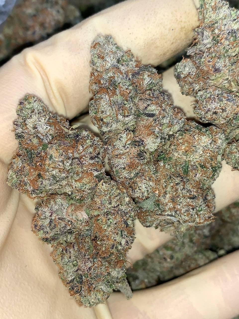 Cotton Candy