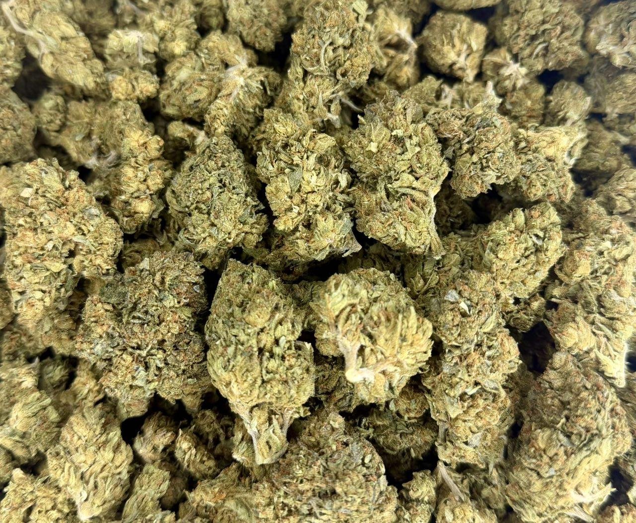 Gelato King