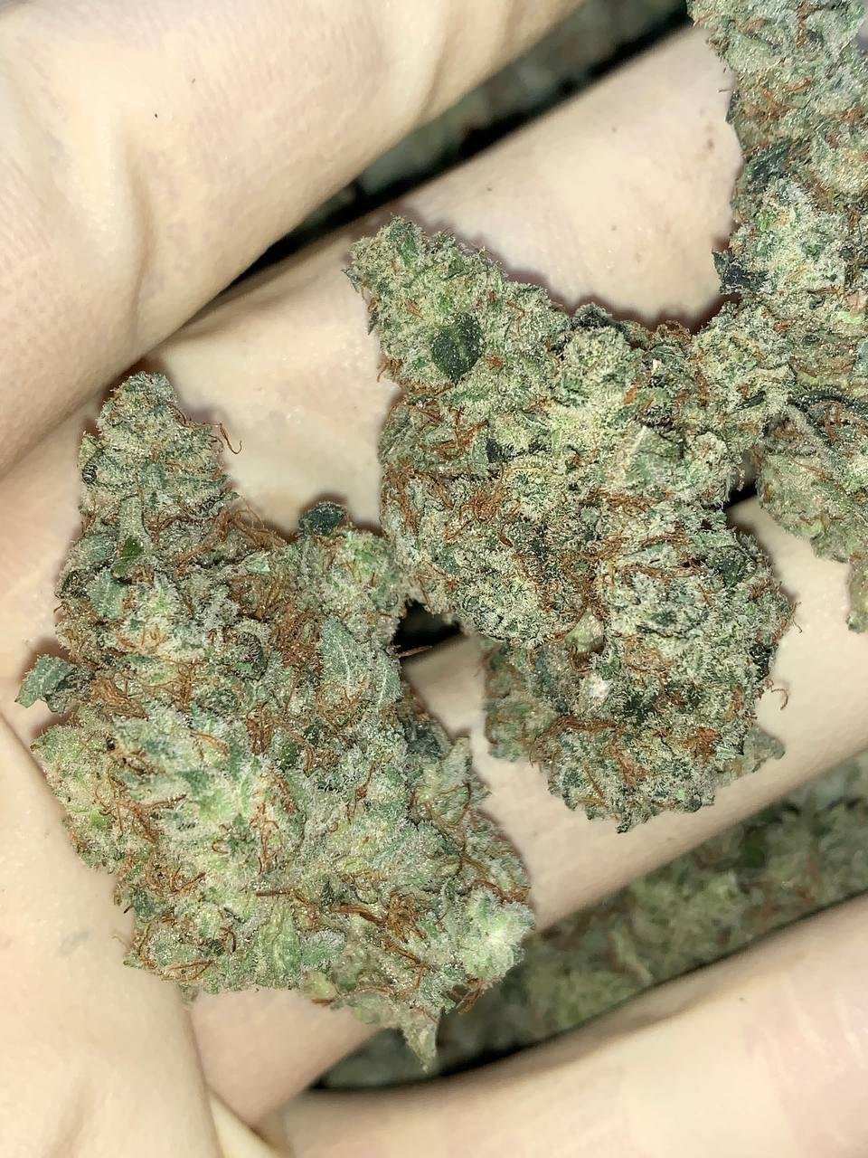 Gods Glue