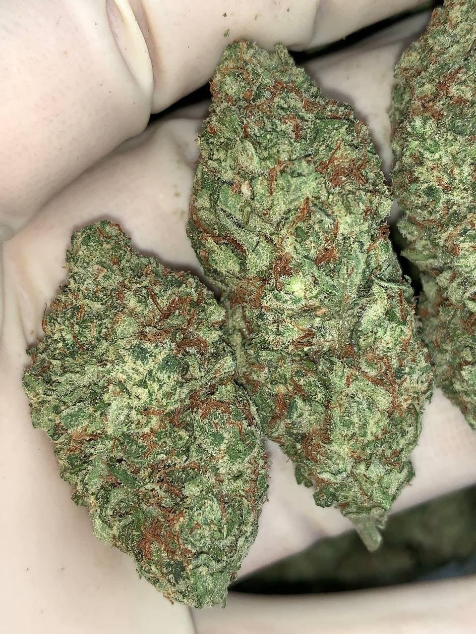Lilac Diesel
