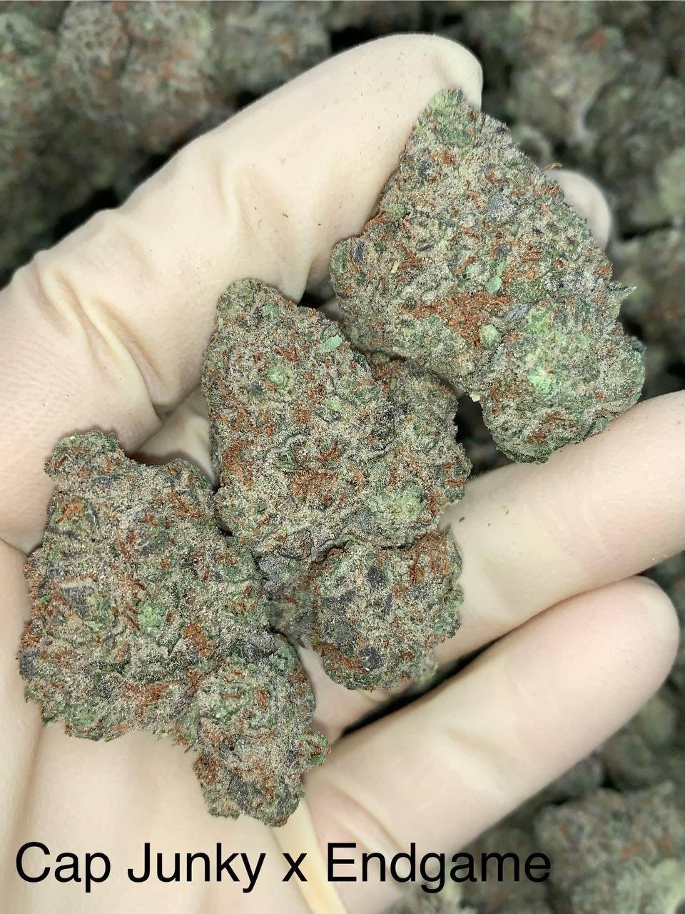 Cap Junky x Endgame - Image 2