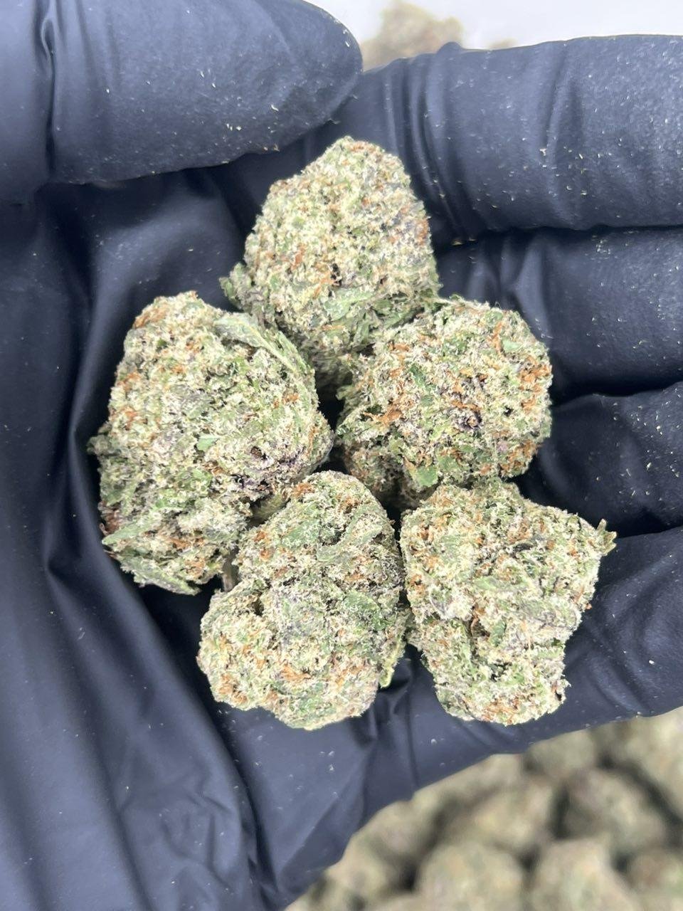Illuminati OG