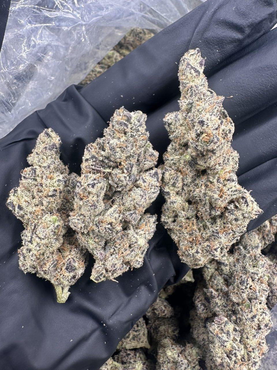 Venom OG